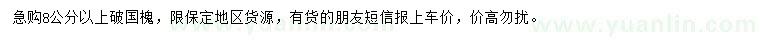 求購8公分以上國槐