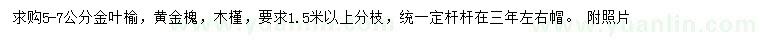 求購金葉榆、黃金槐、木槿