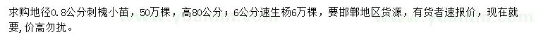 求購(gòu)地徑0.8公分刺槐小苗、6公分速生楊