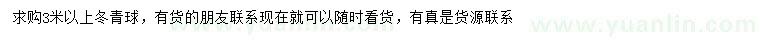 求購3米以上冬青球