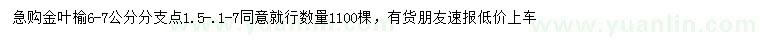 求購6-7公分金葉榆