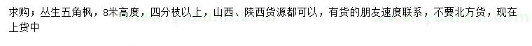 求購高8米叢生五角楓