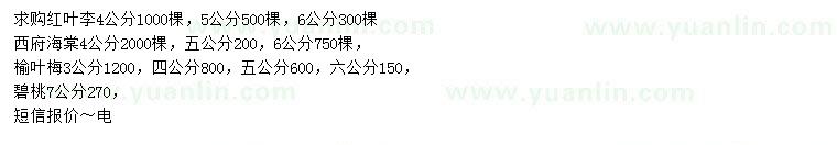 求購(gòu)紅葉李、西府海棠、榆葉梅等