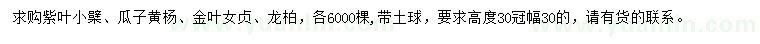 求購紫葉小檗、瓜子黃楊、金葉女貞等