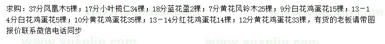 求購鳳凰木、小葉欖仁、藍花楹等