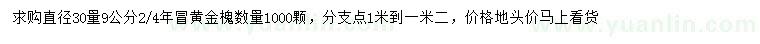 求購30量9公分黃金槐