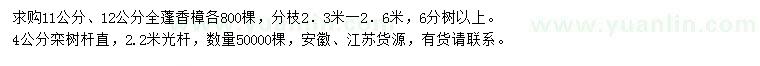求購11、12公分香樟、4公分欒樹