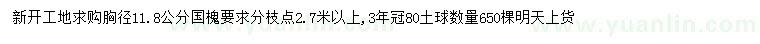 求購胸徑11.8公分國槐