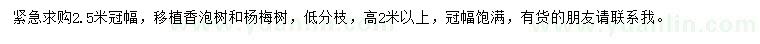 求購(gòu)冠幅2.5米香泡、楊梅樹