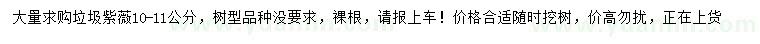 求購10-11公分紫薇