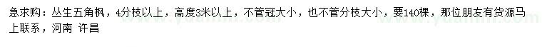 求購高3米以上叢生五角楓