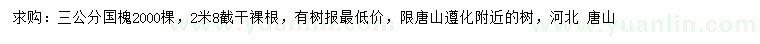 求購3公分國槐
