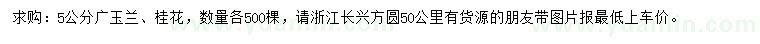 求購(gòu)5公分廣玉蘭、桂花