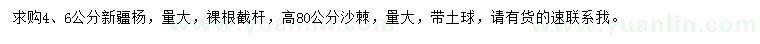 求購(gòu)4、6公分新疆楊、高80公分沙棘