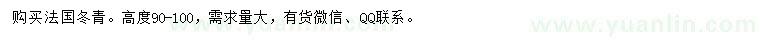 求購(gòu)高90-100公分法國(guó)冬青