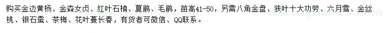 求購金邊黃楊、金森女貞、紅葉石楠等