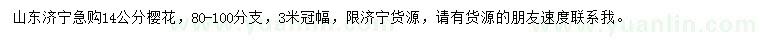 求購(gòu)14公分櫻花