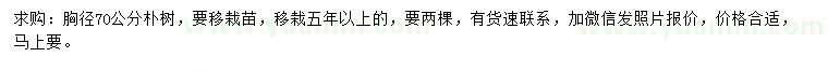 求購(gòu)胸徑70公分樸樹(shù)