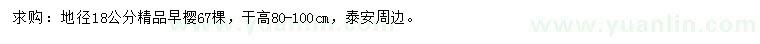 求購地徑18公分早櫻