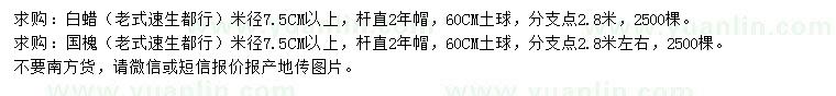 求購米徑7.5公分以上白蠟、國槐
