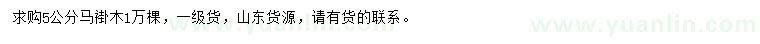 求購(gòu)5公分馬褂木