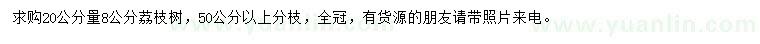求購20公分量8公分荔枝樹