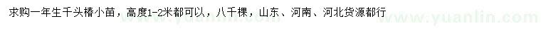 求購高1-2米千頭椿小苗