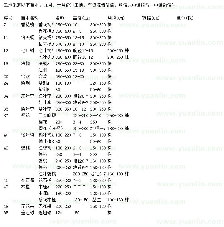 求購香花槐、鉆天楊、七葉樹等