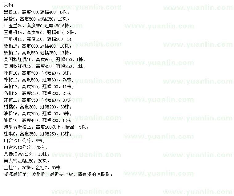 求購黑松、廣玉蘭、三角楓等