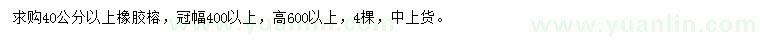 求購(gòu)40公分以上橡膠榕