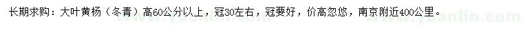 求購高60公分以上大葉黃楊
