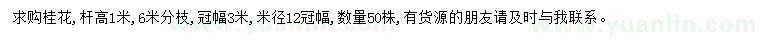 求購桿高1米桂花