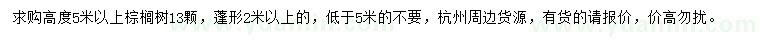 求購(gòu)高度5米以上棕櫚樹