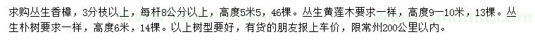 求購叢生香樟、叢生黃連木、叢生樸樹