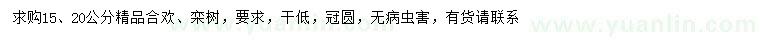 求購(gòu)15、20公分合歡、欒樹
