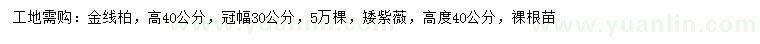 求購高40公分金線柏、矮紫薇