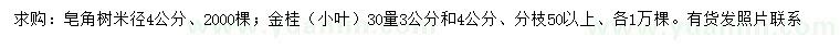 求購米徑4公分皂角、30量3、4公分小葉金桂