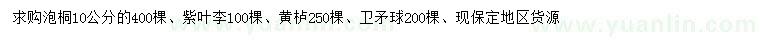 求購泡桐、紫葉李、黃櫨等
