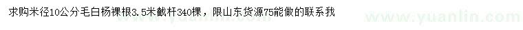 求購米徑10公分毛白楊