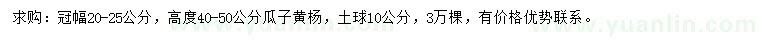 求購冠幅20-25公分瓜子黃楊