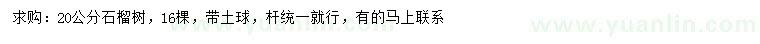 求購20公分石榴樹