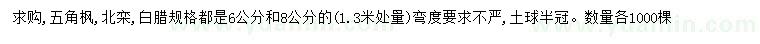 求購五角楓、北欒、白蠟