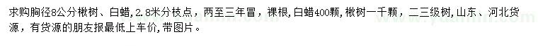 求購胸徑8公分楸樹、白蠟
