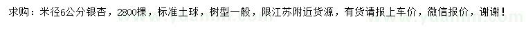 求購米徑6公分銀杏