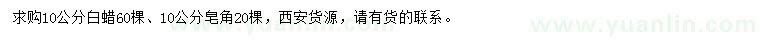 求購10公分白蠟、皂角