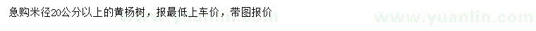 求購(gòu)米徑20公分以上黃楊