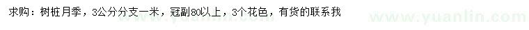 求購冠副80公分以上樹樁月季