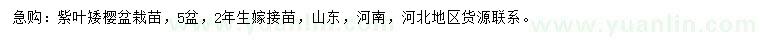 求購(gòu)2年生紫葉矮櫻盆栽苗