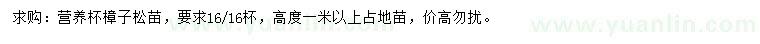 求購高1米以上樟子松