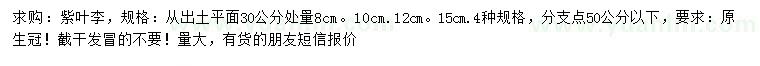 求購(gòu)30量8、10、12、15公分紫葉李